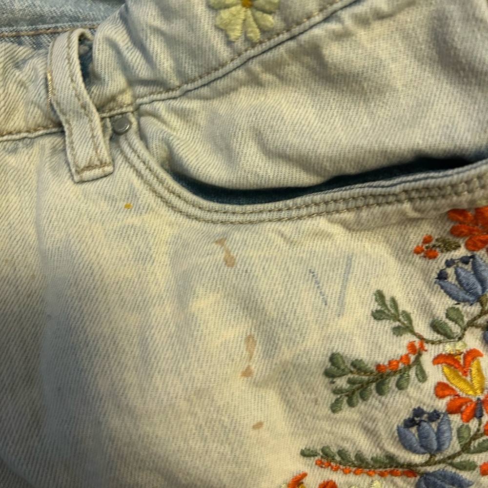 Blank NYC Light Wash Denim Jean Shorts with Multicolor Floral Embroidery - Picture 7 of 15